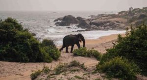 Sri Lanka
